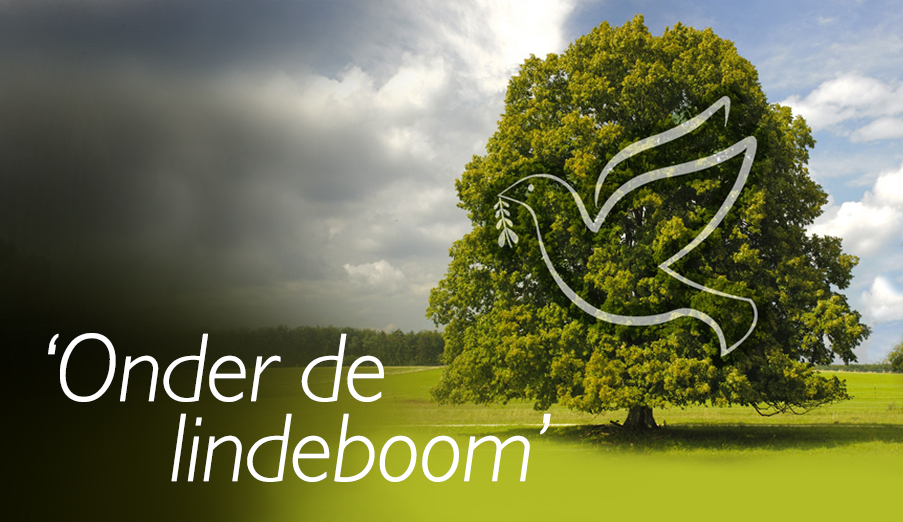 Onder de lindeboom - fietstocht in Alveringem
